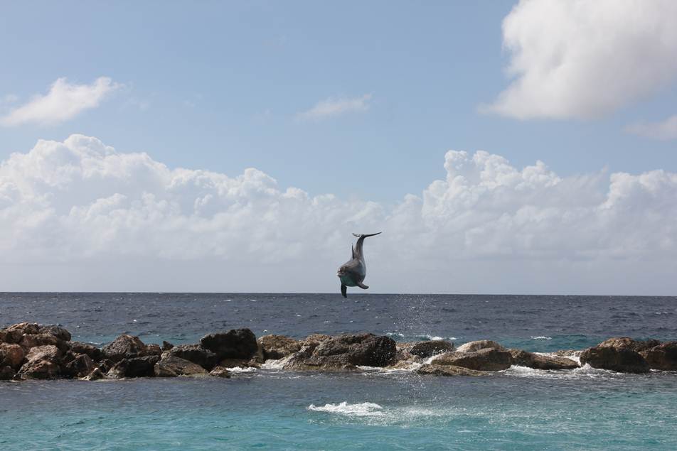 Description: F:\FOTO\BD_12\Curacao\Photo_1\DCIM\100CANON\IMG_1700.JPG