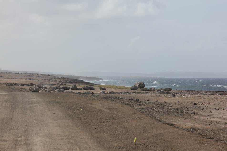 Description: F:\FOTO\BD_12\Curacao\Photo_3\DCIM\100CANON\IMG_3462.JPG
