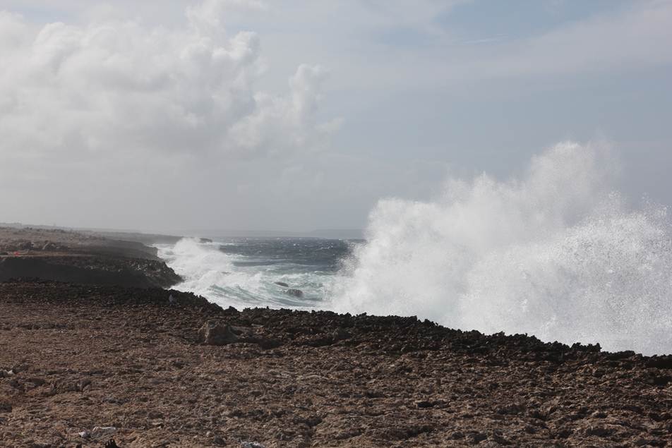 Description: F:\FOTO\BD_12\Curacao\Photo_3\DCIM\100CANON\IMG_3485.JPG