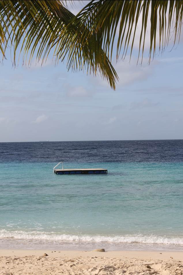 Description: F:\FOTO\BD_12\Curacao\Photo_3\DCIM\100CANON\IMG_3595.JPG