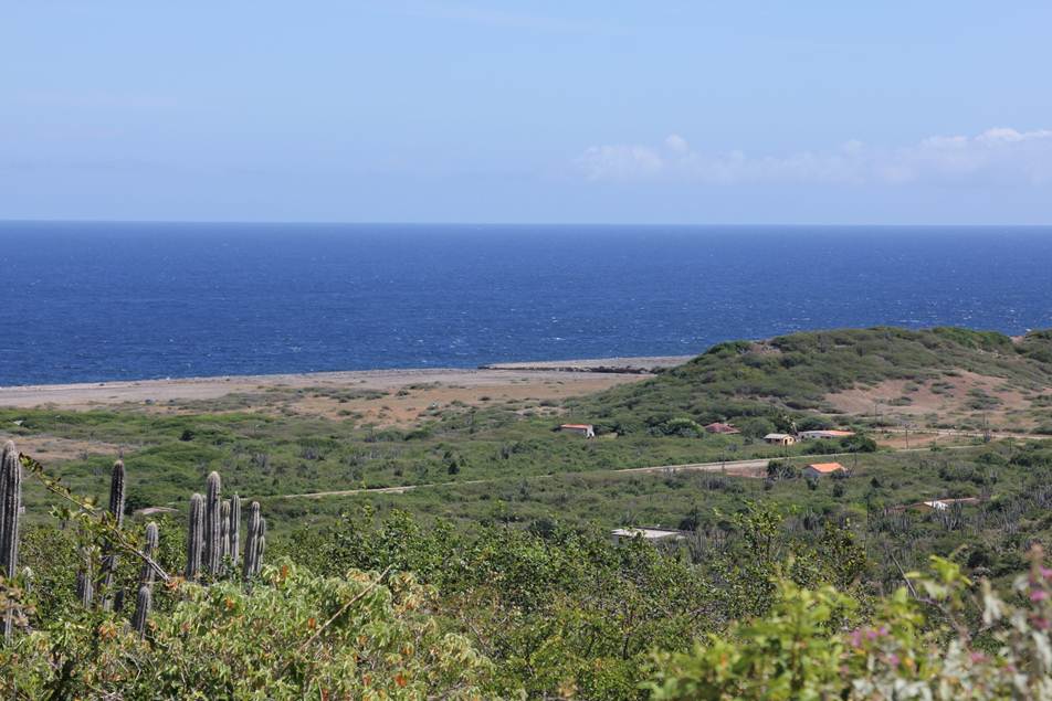 Description: F:\FOTO\BD_12\Curacao\Photo_4\DCIM\100CANON\IMG_4267.JPG