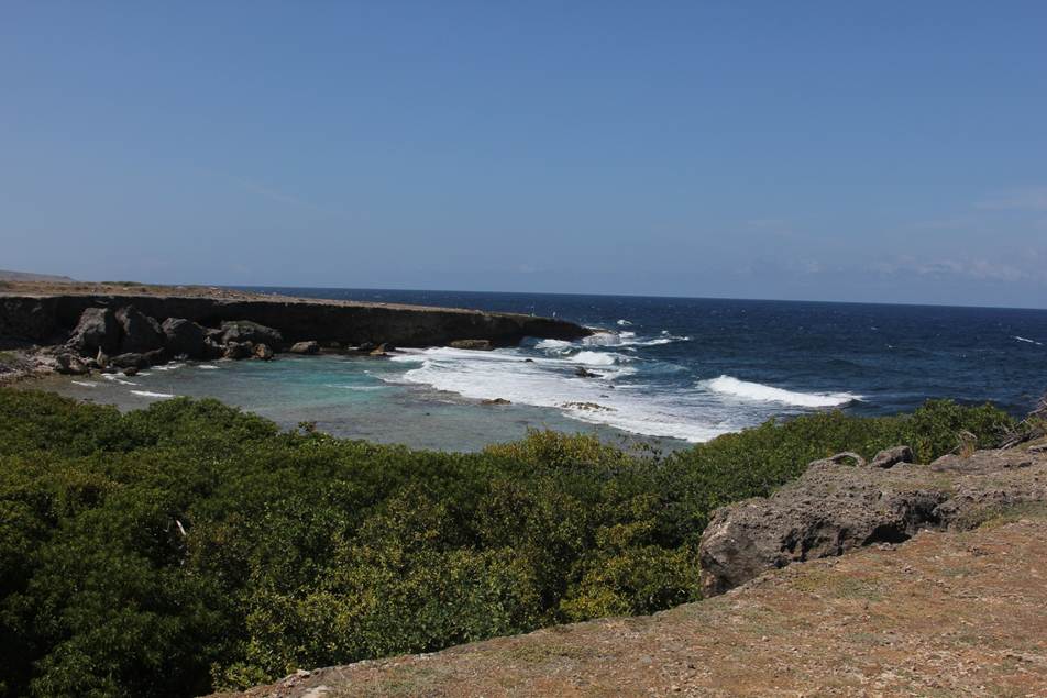Description: F:\FOTO\BD_12\Curacao\Photo_4\DCIM\100CANON\IMG_4383.JPG