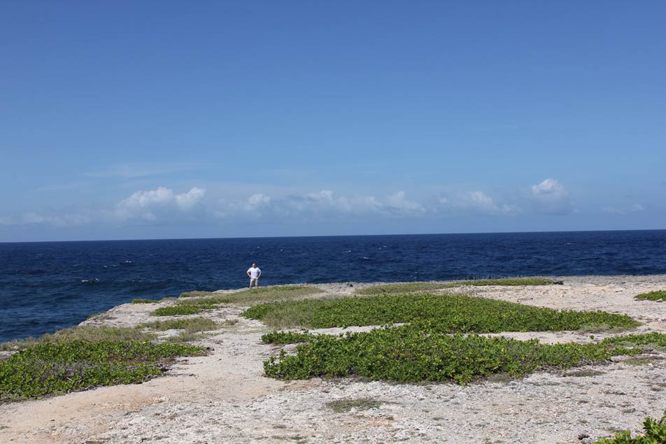 Description: F:\FOTO\BD_12\Curacao\Photo_4\DCIM\100CANON\IMG_4395.JPG