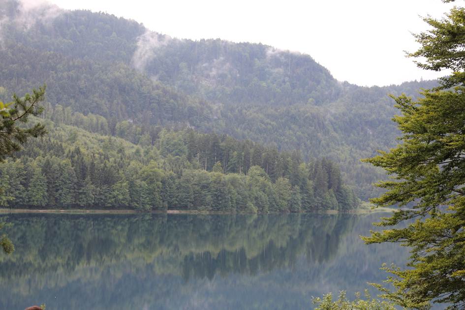 Description: F:\FOTO\BD_16\Schwangau_Fussen\IMG_2971.JPG