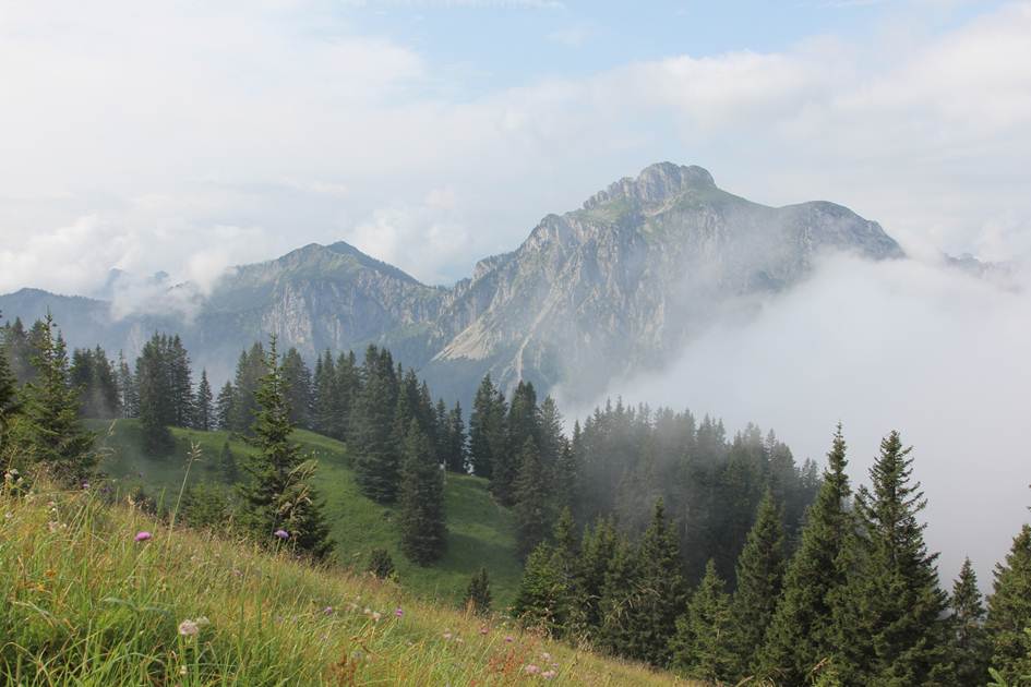 Description: F:\FOTO\BD_16\Schwangau_Fussen\IMG_3269.JPG