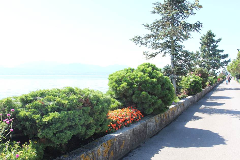 Description: F:\FOTO\BD_16\Morges\IMG_4782.JPG