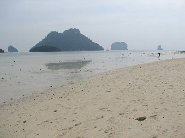 image015.jpg
