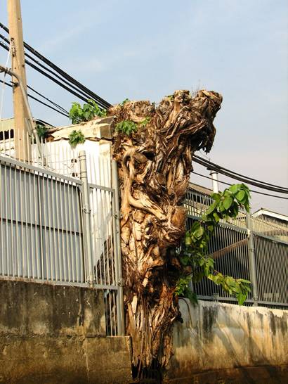 image101.jpg