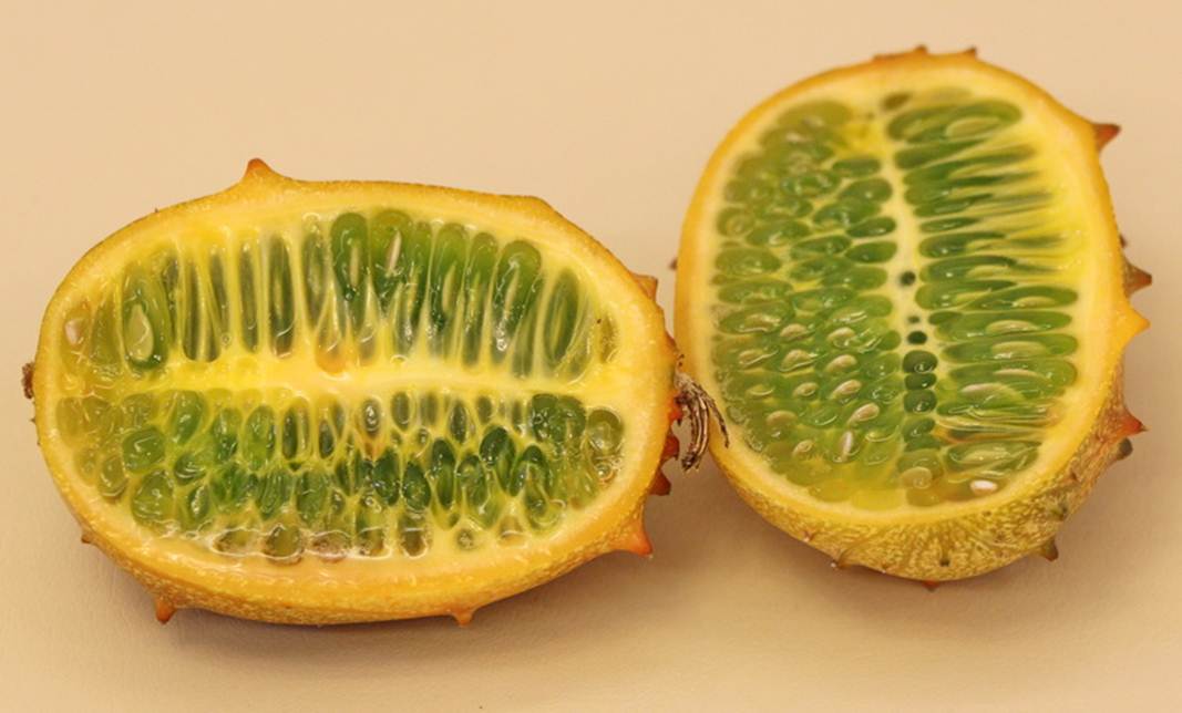 Description: Description: Description: Description: C:\Users\Alekseich\Desktop\1\Fruit\Select\IMG_7468.JPG