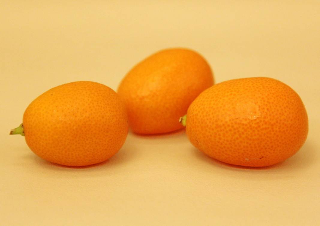 Description: Description: Description: Description: C:\Users\Alekseich\Desktop\1\Fruit\Select\IMG_5952.JPG