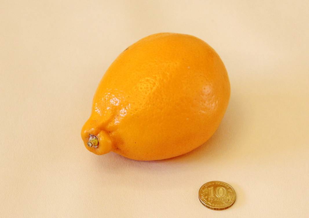 Description: Description: Description: Description: C:\Users\Alekseich\Desktop\1\Fruit\Select\IMG_7294.JPG
