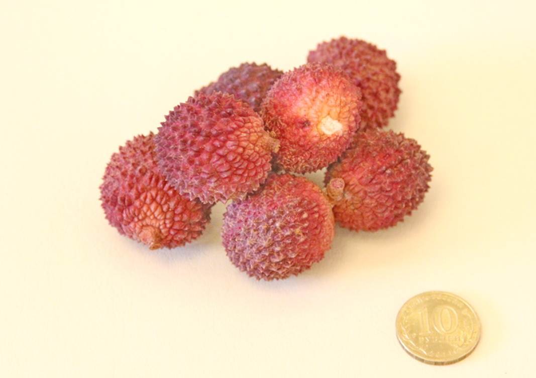 Description: Description: Description: Description: C:\Users\Alekseich\Desktop\1\Fruit\Select\IMG_7309.JPG