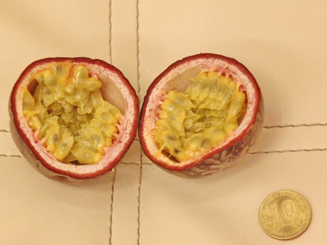 Description: Description: Description: Description: C:\Users\Alekseich\Desktop\1\Fruit\Select\IMG_6395.JPG