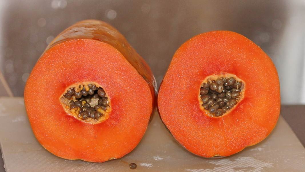 Description: Description: Description: Description: C:\Users\Alekseich\Desktop\1\Fruit\Select\IMG_2887.JPG
