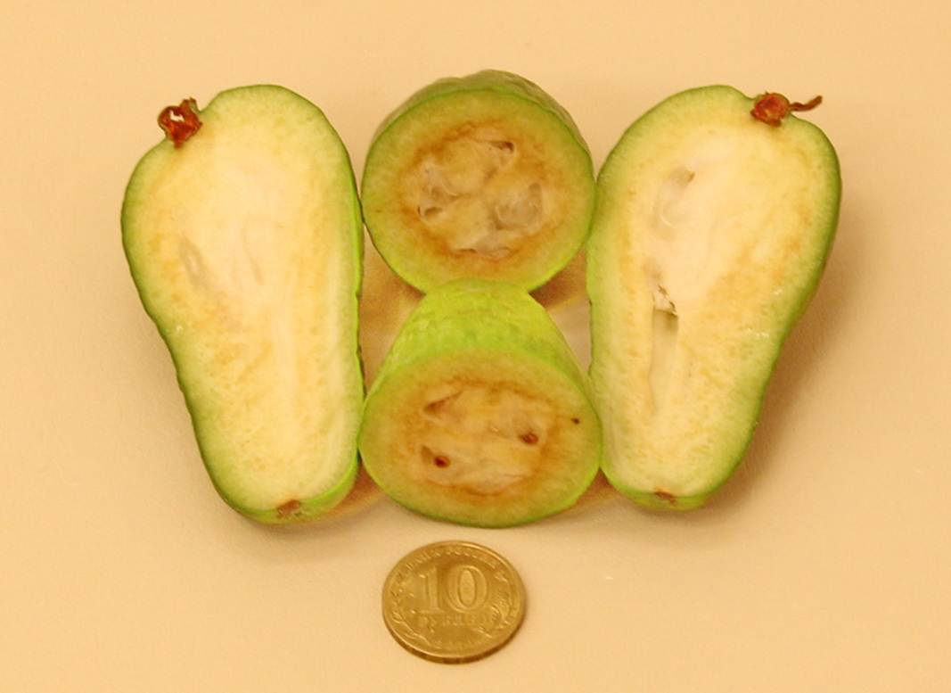 Description: Description: Description: Description: C:\Users\Alekseich\Desktop\1\Fruit\Select\IMG_6744.JPG